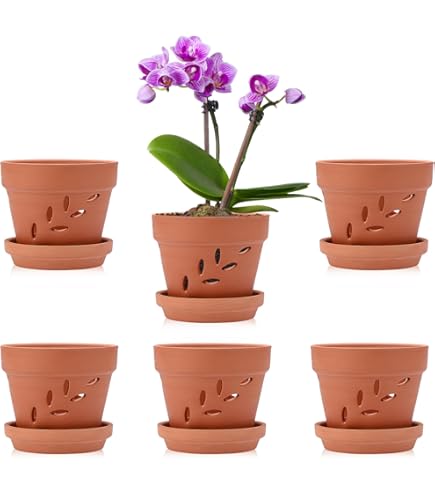 Amazon.co.jp: 富貴蘭 吊枠 18個掛け 3-3.5号用 : DIY・工具・ガーデン